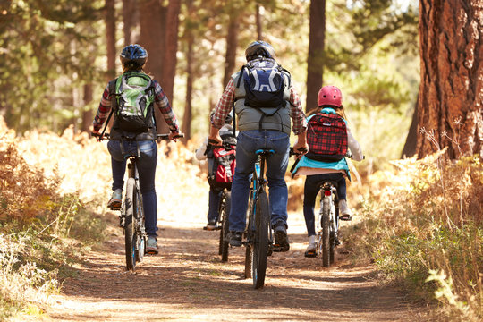 Bicycle Hire