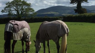 Ballacorey Equestrian Centre