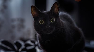 Travel Superstitions Around The World