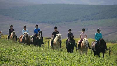 Ballahimmin Riding and Pony Trekking Centre